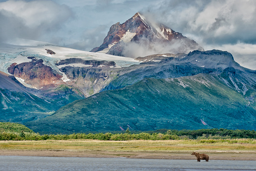 A brown Bear is in a tidal river in front of a massive glacier and mountain range in Katmai National Park Alaska.  The glacier and mountains are very colorful and have dramatic edges and ridges.  A large waterfall can be seen in the valley.