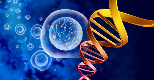 DNA Genetic Structure stock photo