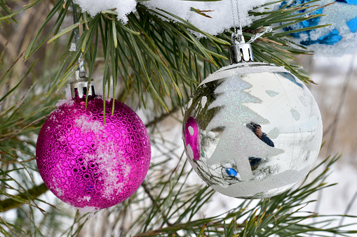 Two glass shiny balls hang on a festive Christmas tree.