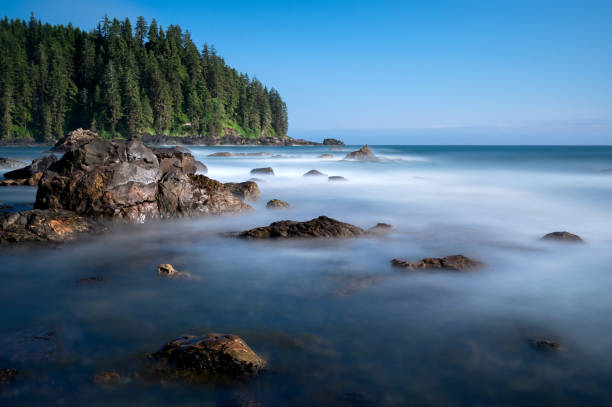 Long exposure at Sombrio Beach, near Port Renfrew, Vancouver Island, BC Long exposure at Sombrio Beach, near Port Renfrew, Vancouver Island, BC port renfrew stock pictures, royalty-free photos & images