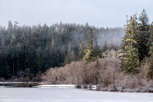 Winter at Fairy Lake, near Port Renfrew, Vancouver Island, BC