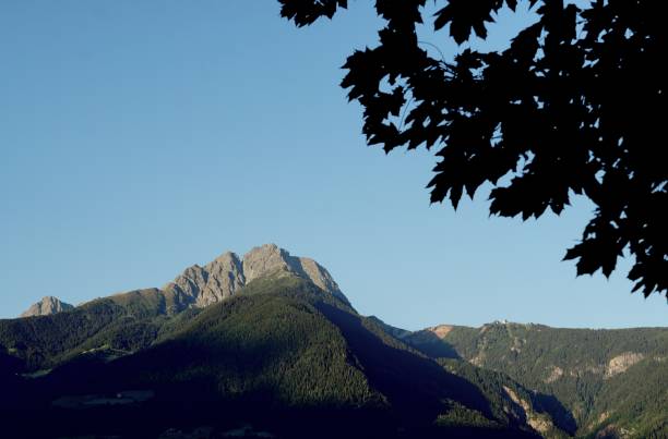 hermosa foto de las montañas rocosas en peak ifinger - ifinger fotografías e imágenes de stock