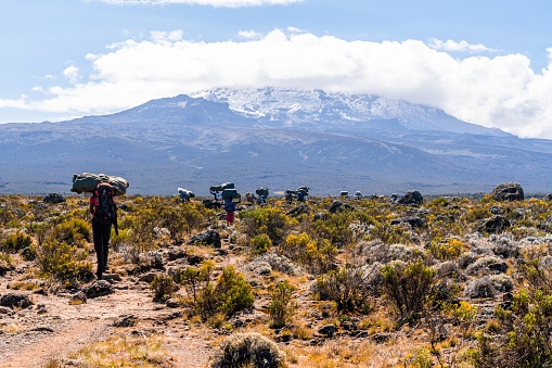 The hikers climbing Mount Kilimanjaro in Tanzania