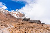 istock Beautiful scenery of a mountain landscape in the Kilimanjaro National Park 1437527366