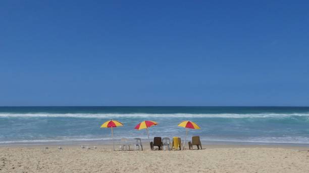 istock beach umbrellas with chairs on sand at the beach 1437527539