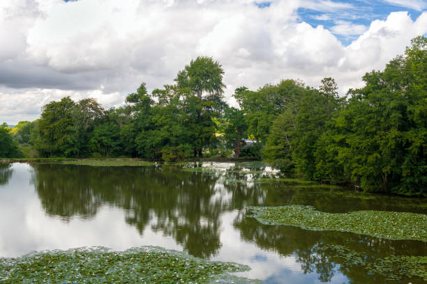 istock Reflection of trees in a lake in Somerset, England. 1437528248