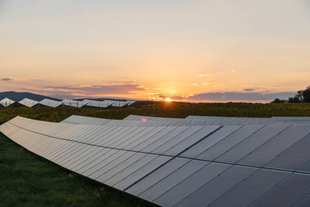 istock Solar panels on a sunflower field 1437533123