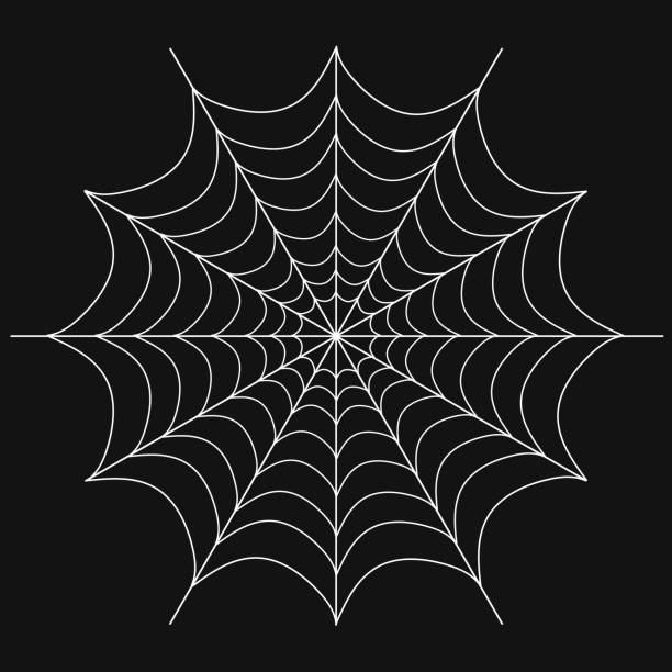 ilustrações, clipart, desenhos animados e ícones de teia de aranha, teia de aranha branca realista isolada no fundo preto. vetor, ilustração de desenhos animados. vetor - goth