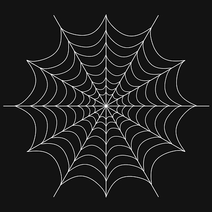 Cobweb, realistic white cobweb isolated on black  background. Vector, cartoon illustration. Vector