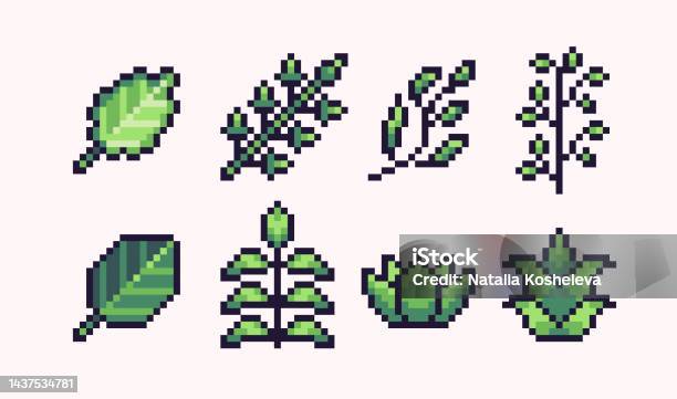 Cacti pixel art set cactus com coleção de flores flora do deserto