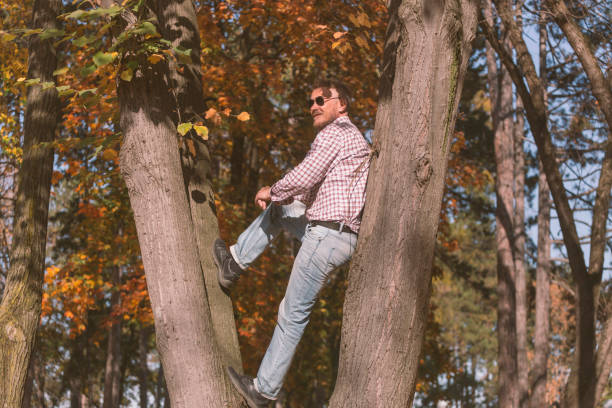 istock Sunny weather in autumn 1437535827