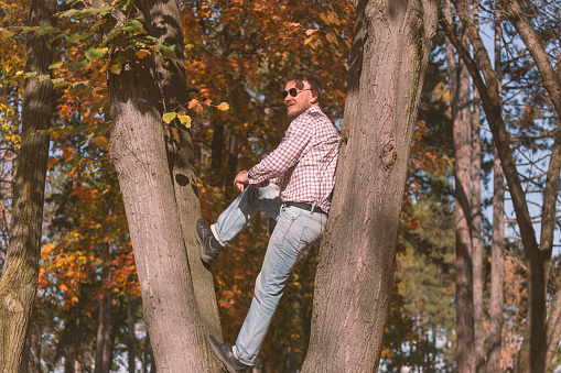Man enjoy in sunny weather in autumn. Climb on tree.