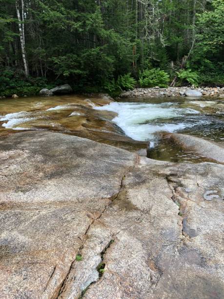 istock Vertical view of a cascading rocky river among a lush green forest 1437537543
