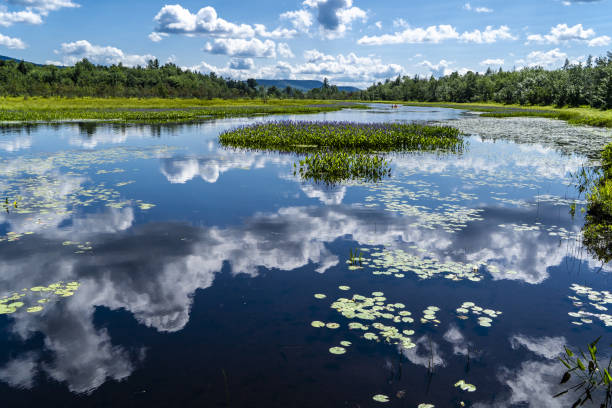 belle photo du reflet du ciel dans la rivière kunjamuk du parc d’état des adirondacks à new york - adirondack chair photos et images de collection