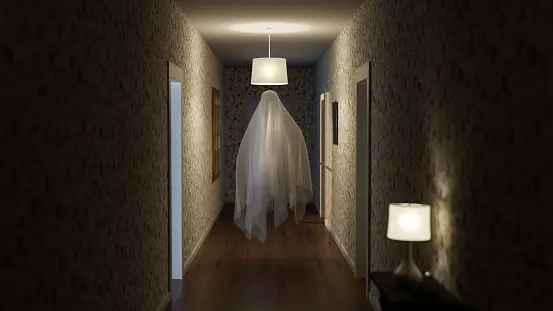 Ghost in the house ghostly figure images