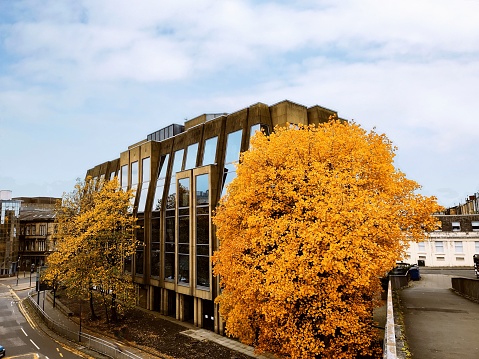 Modern building and tree during autumn at street of glasgow scotland england uk