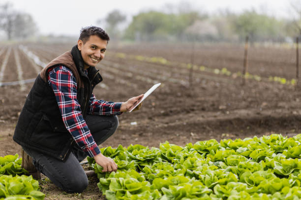 istock Smiling young farmer satisfied with his crops 1437547263