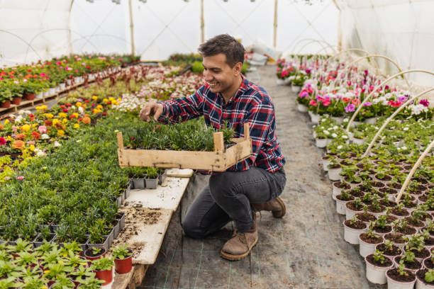 istock Smiling young florist happy with flower growing results 1437547307
