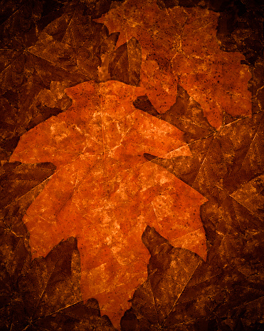 Background - Abstract Leaf Photos Background Orange Vignette  - Vertical