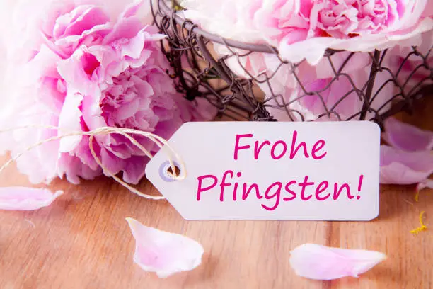 A sign with 'Happy Pentecost!' in German on it with beautiful roses in the background