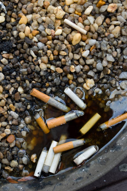 istock Cigarette Butts in a wet outdoor Ashtray, close up 1437554406
