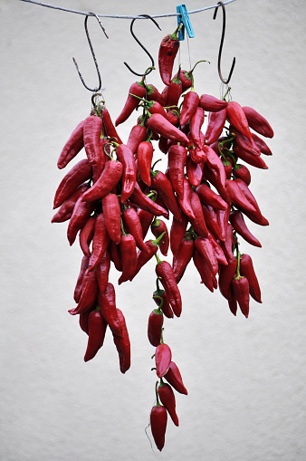 A large number of hot red chili peppers bound with cords on blurred background
