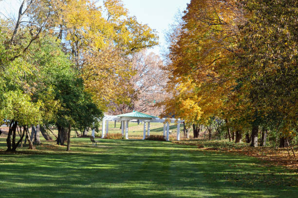 istock Autumn Morning in the park 1437555404