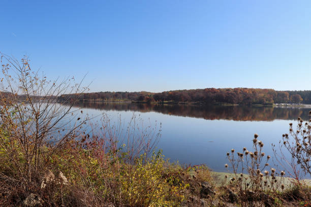 istock Autumn Morning in the park 1437555489