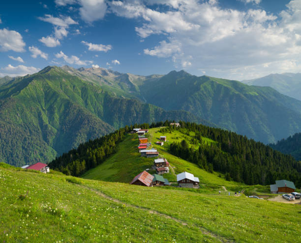 istock Pokut Plateau in summer 1437555572
