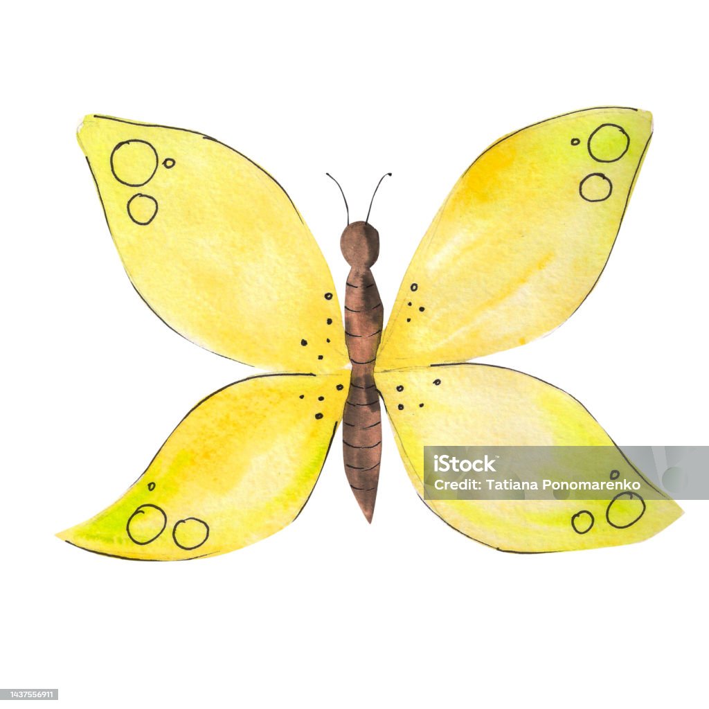 Deducir gritar Escalofriante Ilustración de Ilustración De Mariposa En Estilo Acuarela Mariposa Con Alas  Amarillas En El Frente Insectos Verano y más Vectores Libres de Derechos de  Ala de animal - iStock