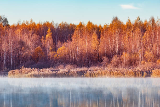 istock Fog above the lake at cold morning. 1437558150