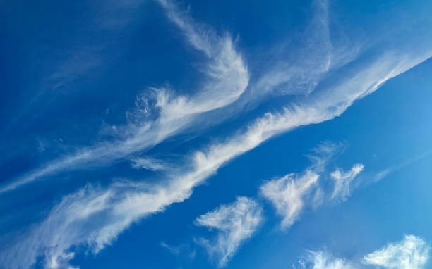 istock Cloudy summer sky landscape with light feathery clouds in the blue firmament. 1437558616