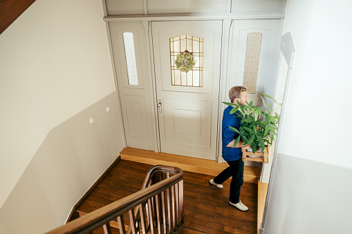 Young man carrying plants and moving in new house. Man relocating into a new apartment carrying carate of potted plants.