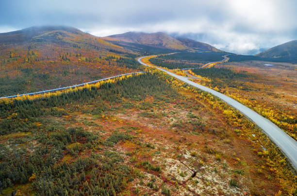 Drone image of Alaska pipeline