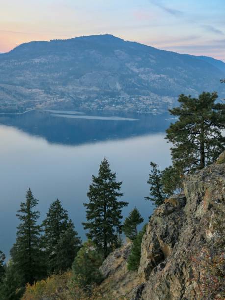istock Trees and Okanagan Lake at Dusk 1437563034