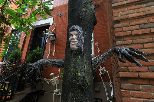 New York, New York - October 25, 2022: The remains of a person grows out of a tree outside a home in New York City, New York, Tuesday, Oct. 25, 2022. (Photo: Gordon Donovan)