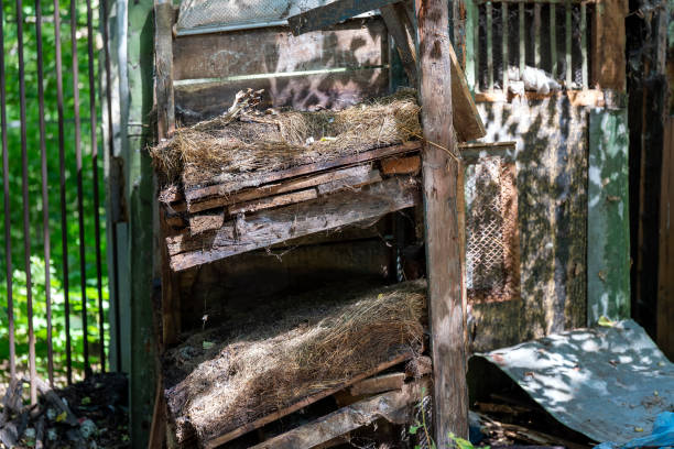 istock Broken rabbit cages with straw residues at bright day 1437564576