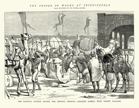 Vintage illustration Prince of Wales, later Edward VII, Royal Visit to India, loading camels at Trichinopoly, now Tiruchirappalli, Tamil Nadu , 1870s, Victorian 19th Century.