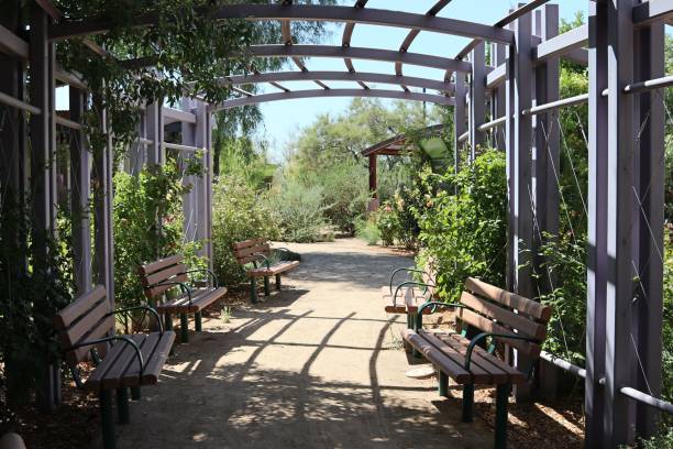 istock Beautiful pathway in a park lined up with wooden benches 1437568738