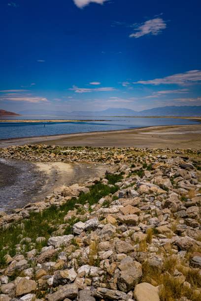 istock Vertical shot of a seashore with stones 1437569873
