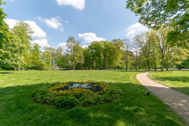 istock Narrow path in a beautiful green park under blue sky and white clouds 1437571067