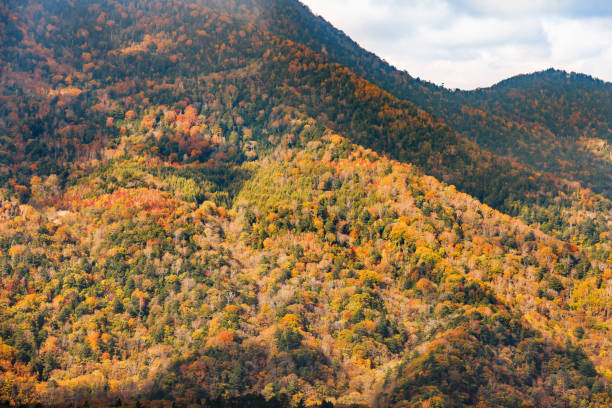 istock Mountain scenery with autumn leaves seen from Mt. Nikko-Shirane 1437578286