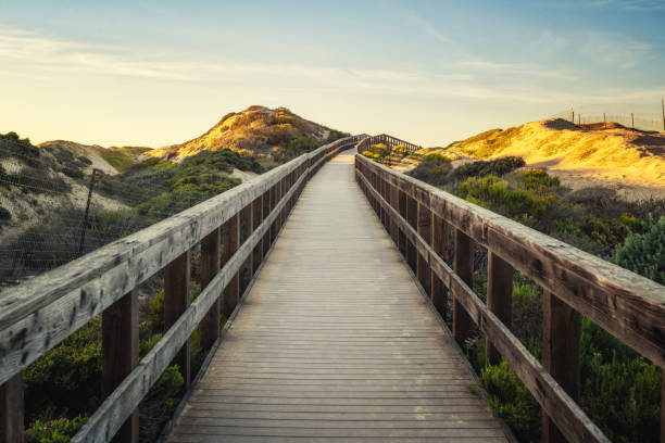 istock Boardwalk through sand dunes and natural habitats, beach access 1437581062