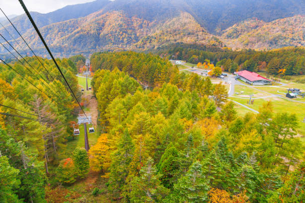 горные пейзажи с осенними листьями, видимые с горы никко-сиране - nikko asia japan natural landmark стоковые фото и изображения