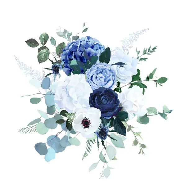 Vector illustration of Classic blue and white hydrangea, ranunculus, anemone, thistle, magnolia flowers