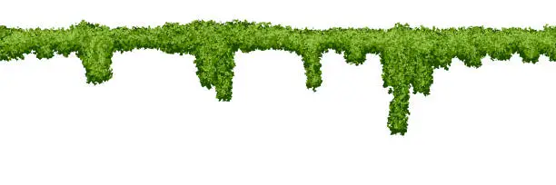 Vector illustration of Seamless line swamp moss texture on white background