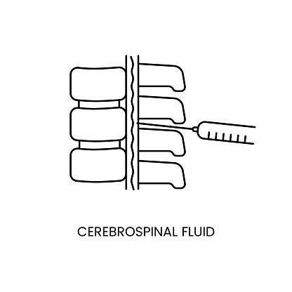 Cerebrospinal fluid icon line in vector, illustration of biomaterial intake with a syringe