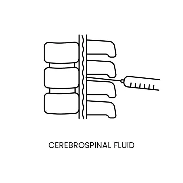 Vector illustration of Cerebrospinal fluid icon line in vector, illustration of biomaterial intake with a syringe.