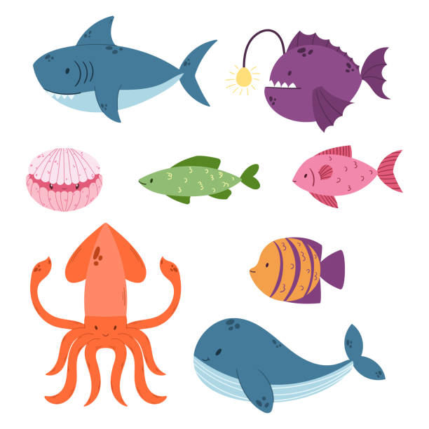 ilustraciones, imágenes clip art, dibujos animados e iconos de stock de set de animales submarinos tiburón, rape y concha. ballena azul, calamar y pez ángel personajes marinos aislados en blanco - anglerfish