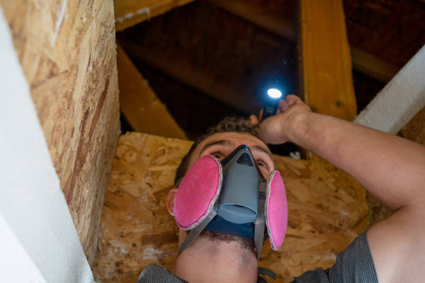 Young Male Home Inspector With Protective Face Mask Looking Into an Attic of a Single Family Home stock photo